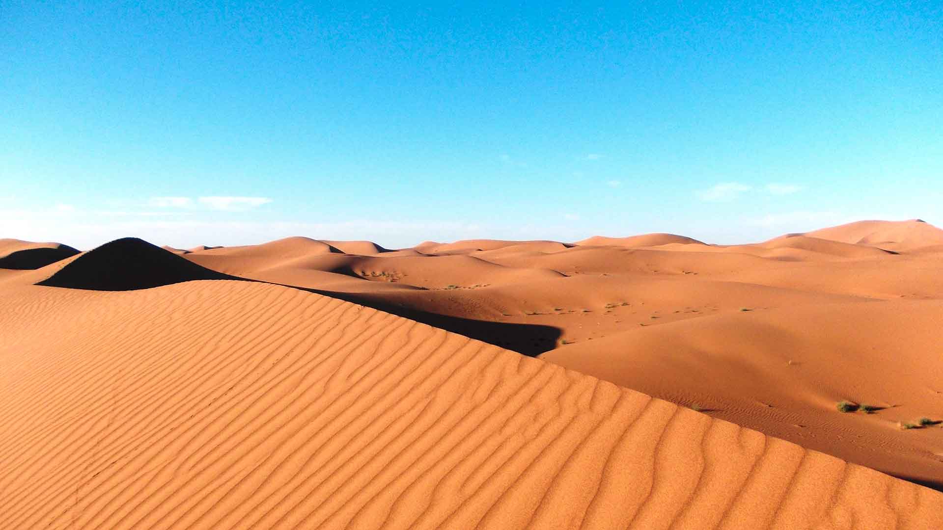 Morrocan Sahara